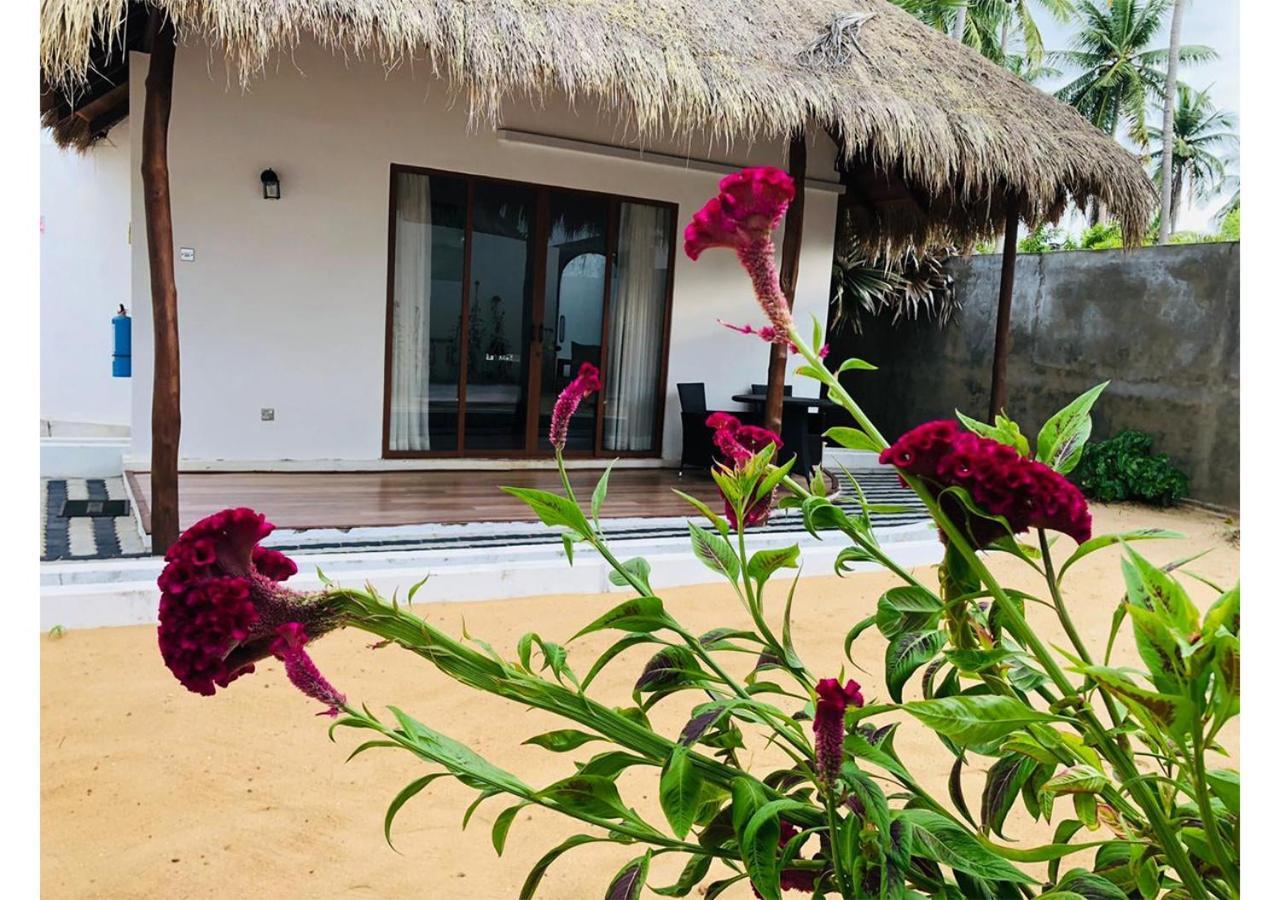 The Blue Lagoon Resort Kalpitiya Eksteriør billede
